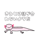 ウーパールーパーの優しいスタンプ（個別スタンプ：21）