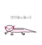 ウーパールーパーの優しいスタンプ（個別スタンプ：22）