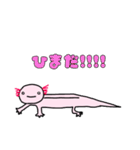 ウーパールーパーの優しいスタンプ（個別スタンプ：23）