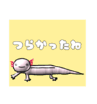 ウーパールーパーの優しいスタンプ（個別スタンプ：32）