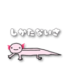 ウーパールーパーの優しいスタンプ（個別スタンプ：34）