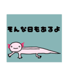 ウーパールーパーの優しいスタンプ（個別スタンプ：35）