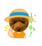 トイプーみんとのスタンプ（個別スタンプ：15）