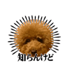 トイプーみんとのスタンプ（個別スタンプ：20）