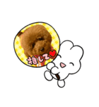 トイプーみんとのスタンプ（個別スタンプ：21）