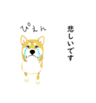 大好き！柴犬2（個別スタンプ：6）