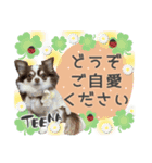 teenaさん（個別スタンプ：3）