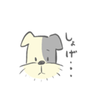 ちょびすけん（個別スタンプ：8）