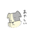 ちょびすけん（個別スタンプ：13）