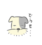 ちょびすけん（個別スタンプ：15）