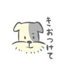 ちょびすけん（個別スタンプ：23）
