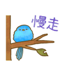 青い鳥めでたい✨年末年始✨台湾バージョン（個別スタンプ：3）