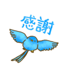 青い鳥めでたい✨年末年始✨台湾バージョン（個別スタンプ：7）