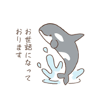 イッカクと個性派クジラ達～修正版～（個別スタンプ：16）