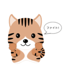 キジ猫ミーはいつもそばにいるよ（個別スタンプ：12）