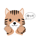 キジ猫ミーはいつもそばにいるよ（個別スタンプ：20）