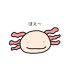 とてちてた！！（個別スタンプ：3）