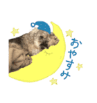 ぱむスタンプ①（個別スタンプ：1）