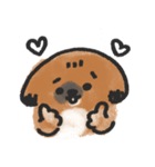 うちのこ。〜ペキニーズのちょび〜（個別スタンプ：3）