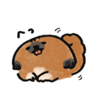うちのこ。〜ペキニーズのちょび〜（個別スタンプ：4）