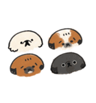 うちのこ。〜ペキニーズのちょび〜（個別スタンプ：5）