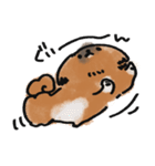 うちのこ。〜ペキニーズのちょび〜（個別スタンプ：8）