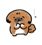 うちのこ。〜ペキニーズのちょび〜（個別スタンプ：10）