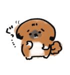 うちのこ。〜ペキニーズのちょび〜（個別スタンプ：11）