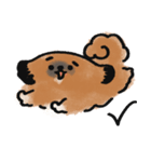 うちのこ。〜ペキニーズのちょび〜（個別スタンプ：13）