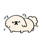 うちのこ。〜ペキニーズのちょび〜（個別スタンプ：33）