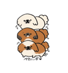 うちのこ。〜ペキニーズのちょび〜（個別スタンプ：39）