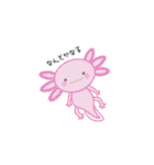 ゆる～い海の生き物たち（個別スタンプ：26）
