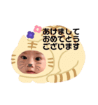 井上さん兄弟（個別スタンプ：18）