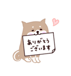 ◯SHIBAINUさん◯年中使える！（個別スタンプ：5）