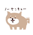 ◯SHIBAINUさん◯年中使える！（個別スタンプ：7）