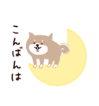 ◯SHIBAINUさん◯年中使える！（個別スタンプ：11）