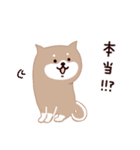 ◯SHIBAINUさん◯年中使える！（個別スタンプ：17）