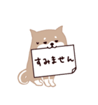 ◯SHIBAINUさん◯年中使える！（個別スタンプ：18）