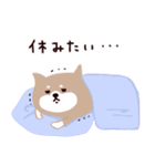 ◯SHIBAINUさん◯年中使える！（個別スタンプ：29）