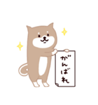 ◯SHIBAINUさん◯年中使える！（個別スタンプ：30）