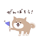 ◯SHIBAINUさん◯年中使える！（個別スタンプ：31）