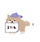 ◯SHIBAINUさん◯年中使える！（個別スタンプ：39）