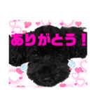 使える！黒ぷー第2弾！（個別スタンプ：2）