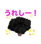 使える！黒ぷー第2弾！（個別スタンプ：4）