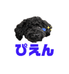 使える！黒ぷー第2弾！（個別スタンプ：10）