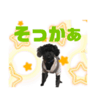 使える！黒ぷー第2弾！（個別スタンプ：17）