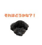 使える！黒ぷー第2弾！（個別スタンプ：23）