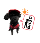 使える！黒ぷー第2弾！（個別スタンプ：25）