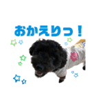 使える！黒ぷー第2弾！（個別スタンプ：26）