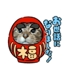 北の国ニャンコオールスターズ・春夏秋冬篇（個別スタンプ：37）